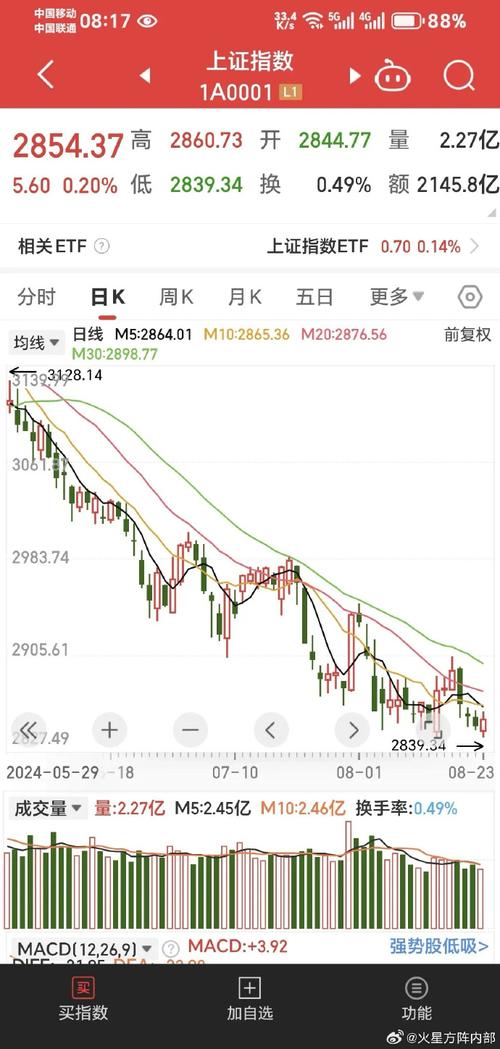 Ͷ���߹����Ʊ��ͳ�Ϊ��˾�ɶ��Ͷ���߹����˹�Ʊ���߹�˾��