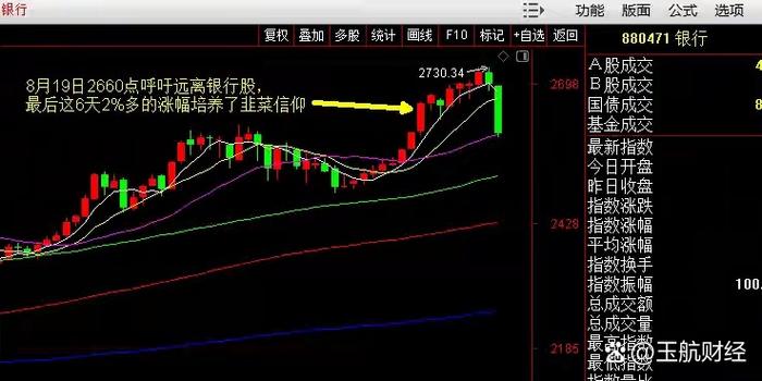 ǢǢʳƷ�걨�ܽᣨǢǢʳƷ������