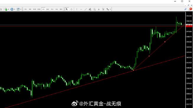 �㶫�Ƶ�Ͷ�ʴ��˳����𣨻���999��ѡ���״