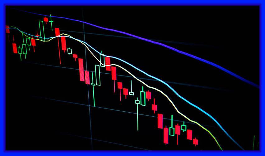 ����֤ȯ�� ����֤ȯ��˾����