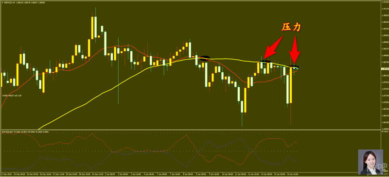 ����50�����й�˾������������53�����й�˾��