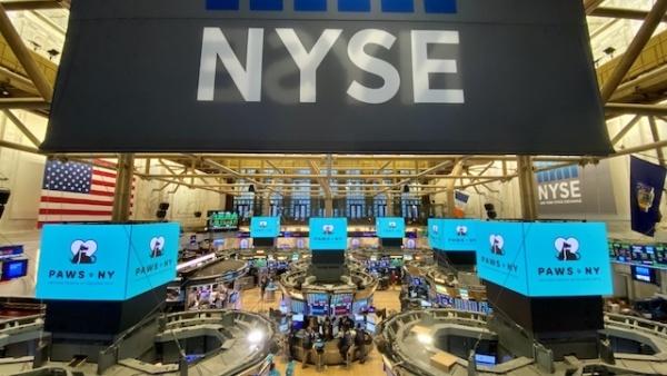 �����Ƹ������Ϲ��й�