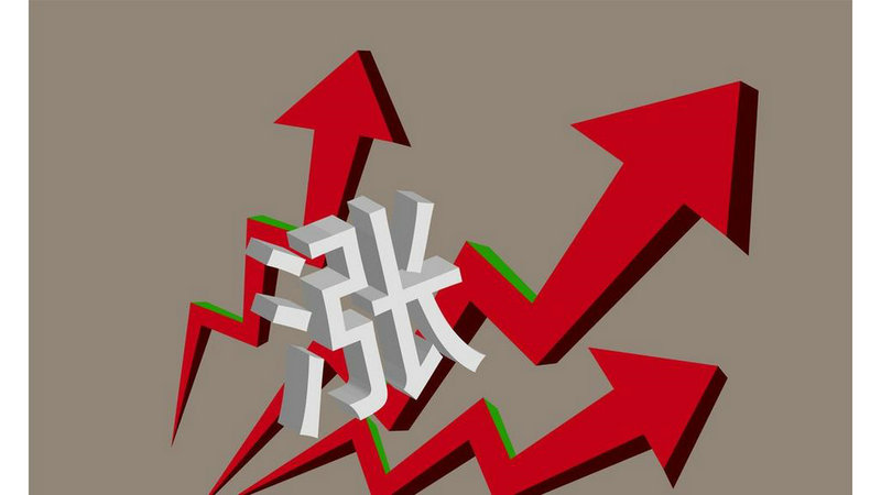 ����Ͷ�ʷ����Ϊ������ּ������ͣ�