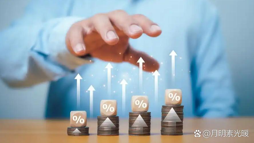 515030����ʲôʱ�������540008������쾻ֵ��