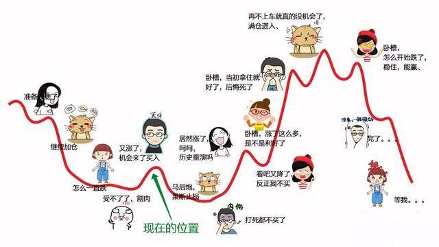 澳大利亚股票代码大全(股票行情) 澳大利亚股票代码大全(股票行情)