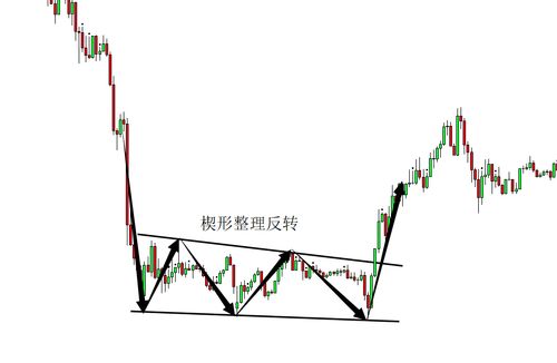 8月份玉米能涨价吗 8月份玉米能涨价吗为什么 8月份玉米能涨价吗 8月份玉米能涨价吗为什么