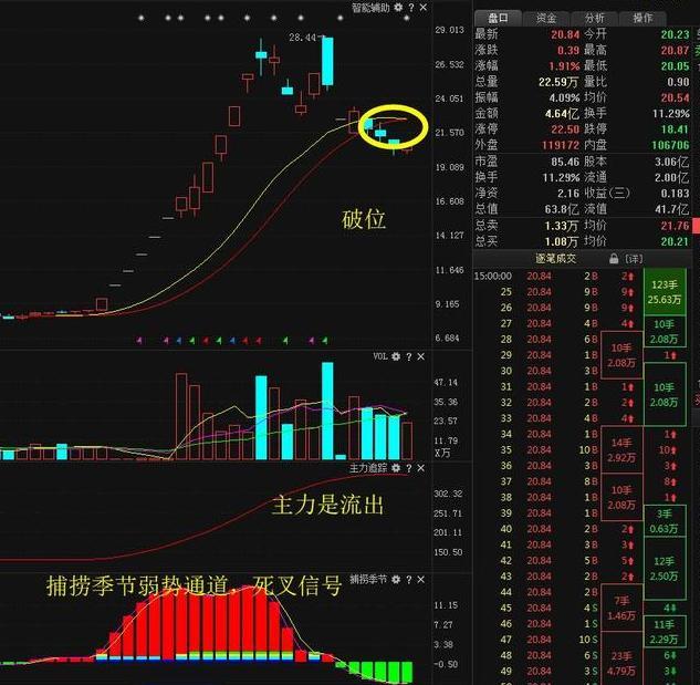 ��ɭ��ҩ��Ʊ��ţ�̹�Ʊ��ͷ������