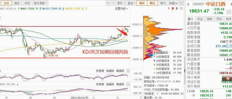 601857��ʯ�͹ɼ۶����601857���飩