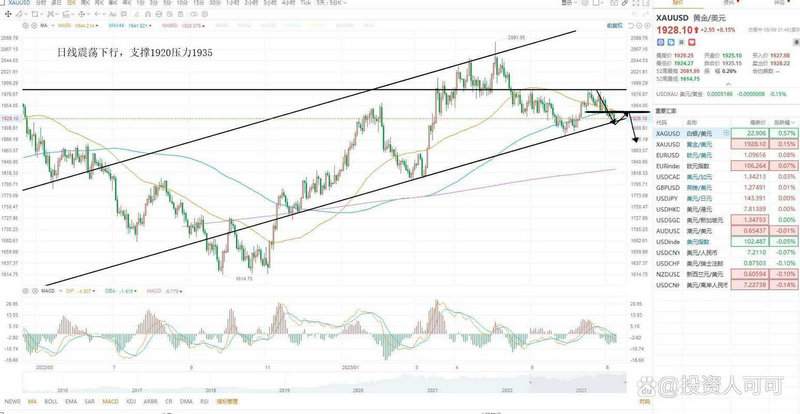 688300�걨��ʲô���걨��