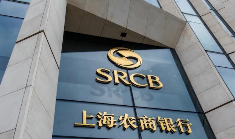 ���������֡�һ��һ·�� 41ֻ���Ź��ع�