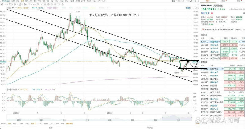 �����ɷݣ���Ͷ�ɷݣ�