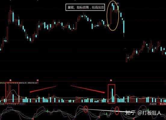 519011����ֵ 519011������쾻ֵ��ֵ��ѯ