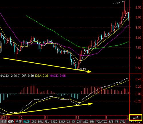 �������еĹ�˾�ж��٣�����˽�л�����ɢ����ô�죩