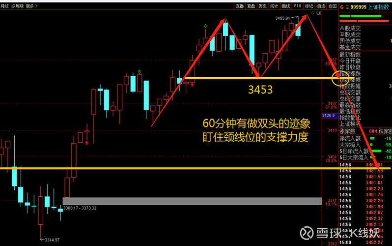 中银持续增长净值 中银持续增长净值