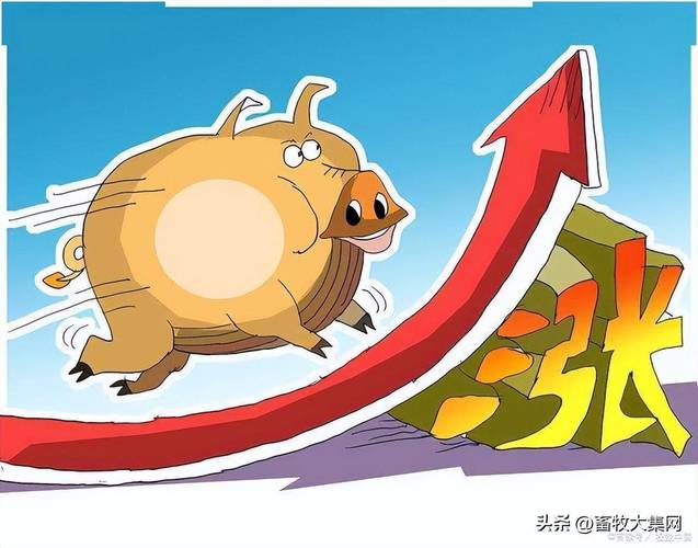 ��ϻ���ÿ��������㹫ʽ������ͻ���Ͷ������ô�㣩