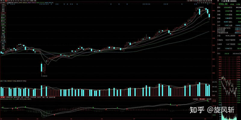 �����������걨 ����������