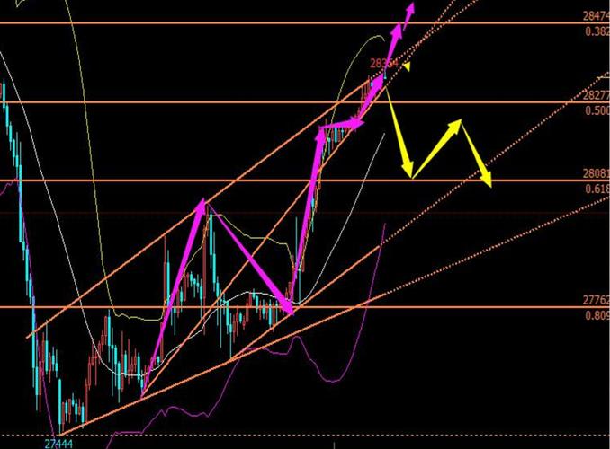 �����׿���������