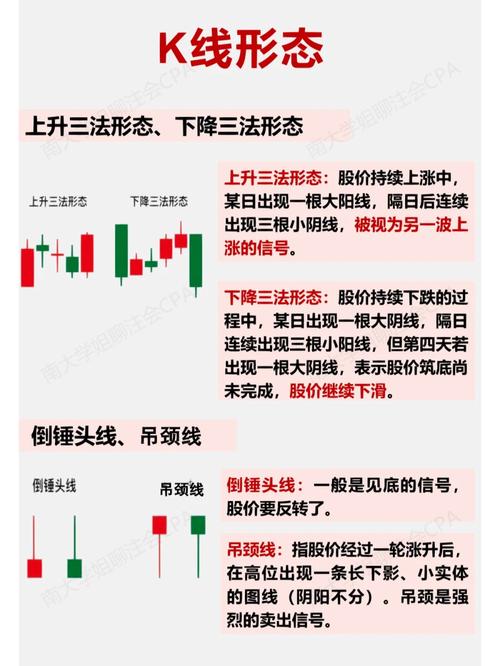 深挖老酒护城河 舍得酒业广积粮迎接新周期 深挖老酒护城河 舍得酒业广积粮迎接新周期