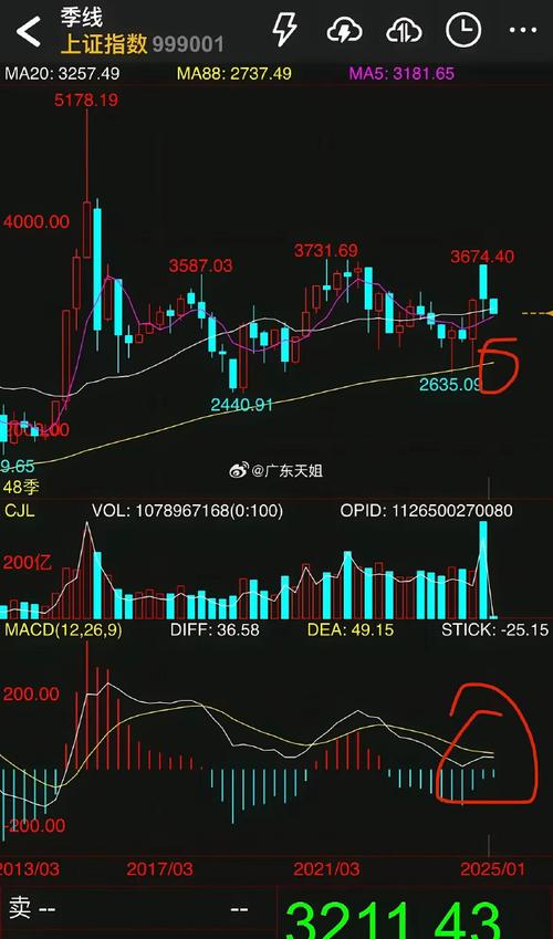 �����ӯ�������ɳ���ѡ���a010264��