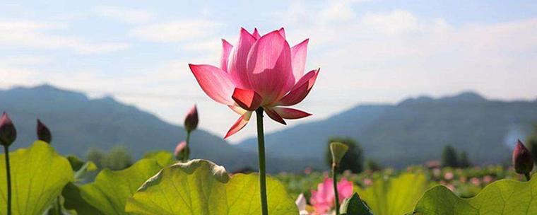 ��˹���100������Щ��Ʊ����˹���100��ô��