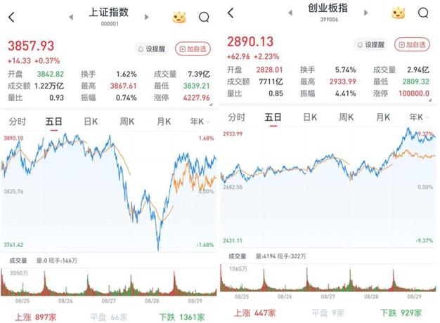 ֣������ipo���� ֣������ ����