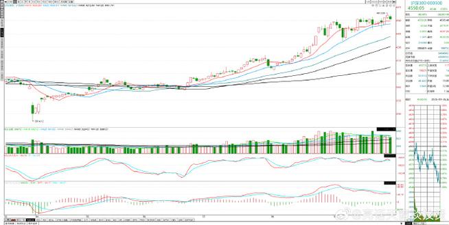 �����Ƹ����³����� �����ʱ����³�