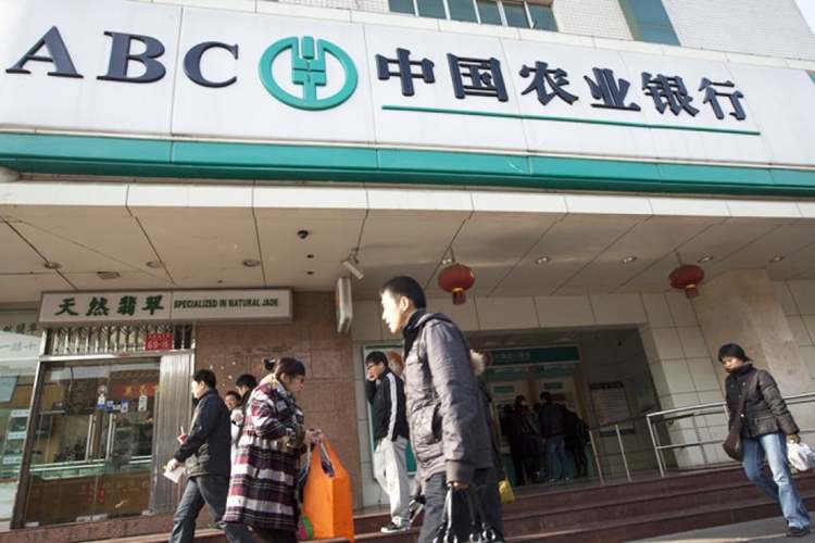 11月24日全国中小企业股转系统新闻发布会汇总 11月24日全国中小企业股转系统新闻发布会汇总