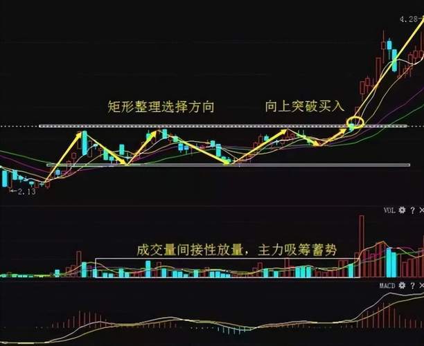 山东钢铁2024年分红山东钢铁分红配股 山东钢铁2024年分红山东钢铁分红配股