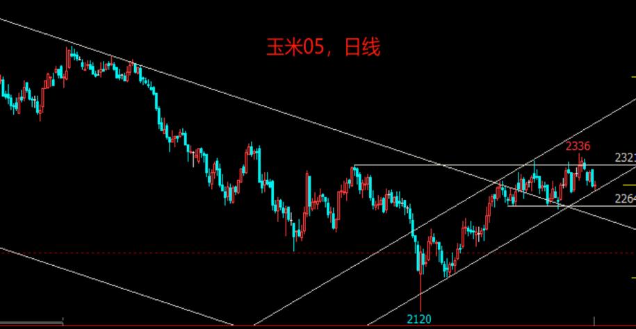 ��һ�ƾ����չ�������