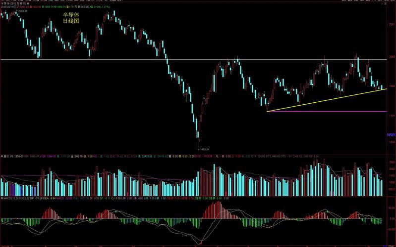 �Ϻ��ƽ��������� �Ϻ��ƽ��ڻ������� ����