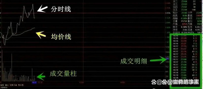 鲁抗医药600789 鲁抗医药600789