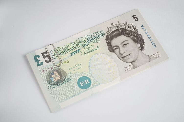 ���Ź�������(���Ź�Ʊ����)