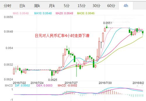 中禹控股股票代码 中禹控股董事长 中禹控股股票代码 中禹控股董事长