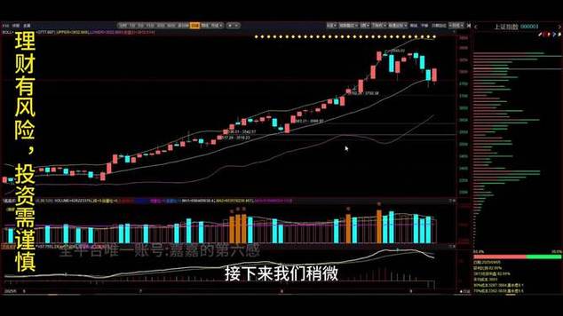 st��̩�����Ƹ� ��̩�ɰ�