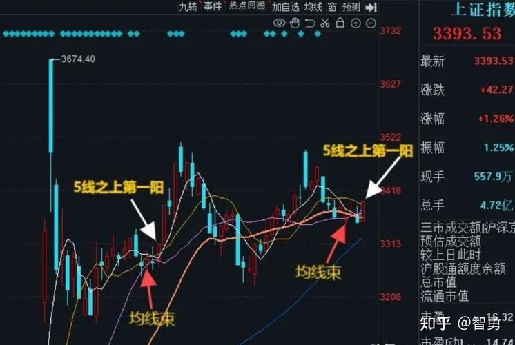 �����߹�Ʊ��̬