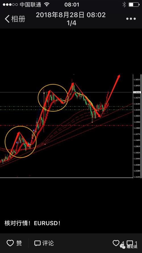 �羳˫���ȨͶ�ʻ��𣨶���Ͷ�ʣ�