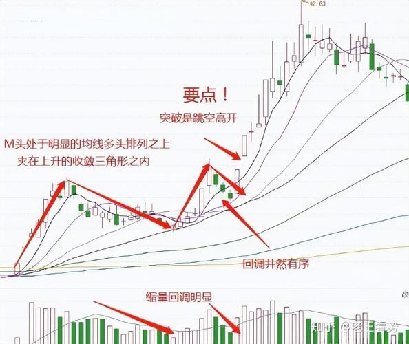 000413�����Ƹ��� 000031�����Ƹ���