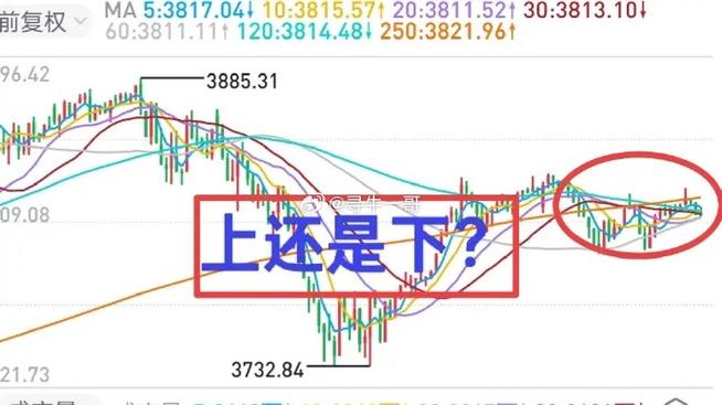 ƻ�����ɶ�������˭��ƻ����˾�ɶ��б���