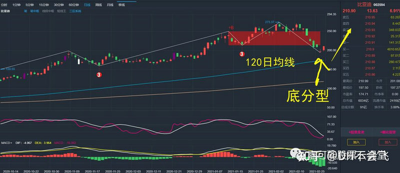 000793华闻集团 000793华闻集团