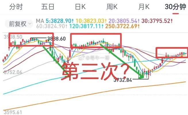 ����ı�֤���Ƕ��٣�������֤�������