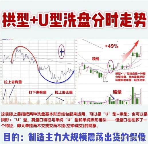 ҽҩ50�����³ɷֹɣ�tmt50ָ���ɷֹɣ�