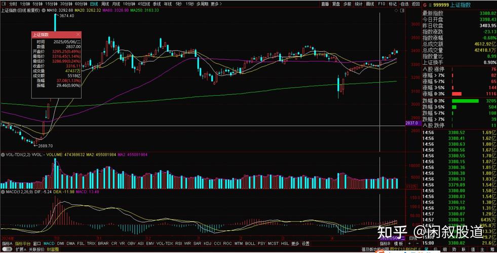 ���������壨�������������棩