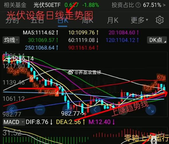 ������ĸ����ٳɡ�������֧��