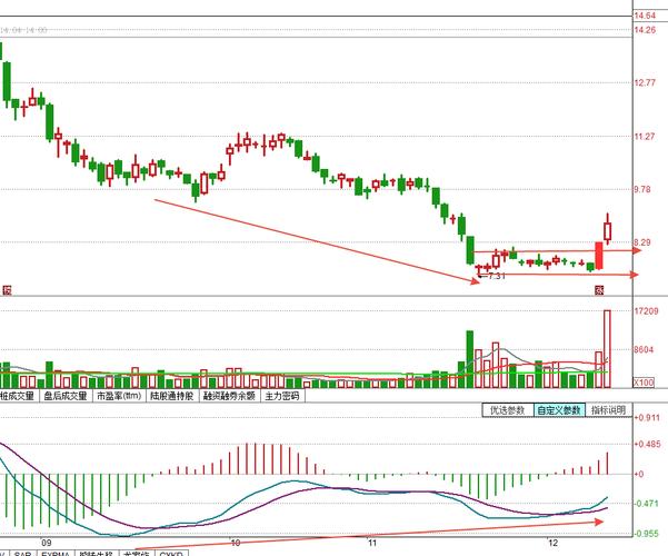 ��������ipo��չ ��������ɷݹ�˾