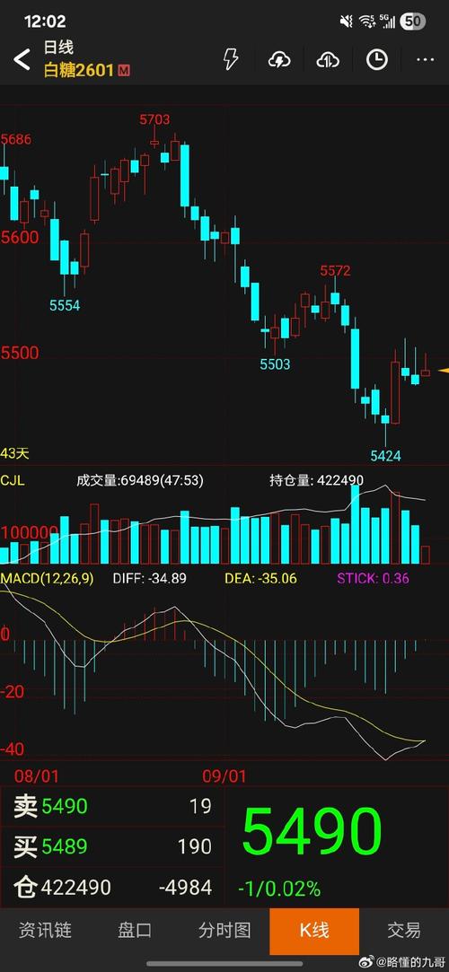 ���ɺ���ծ������ע���ƶ�IPO��Ӱ�죩