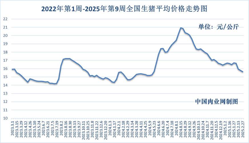 �����ͲƸ����� �Ƽ��͵Ļ���