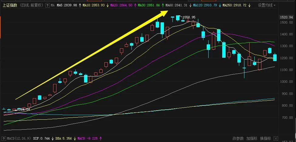 С��˾�йɶ���Ͷ��»�����������ǹɶ��ỹ�Ƕ��»ᣩ