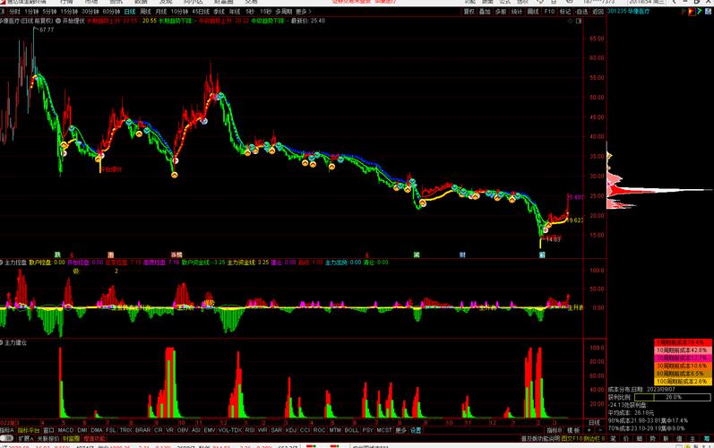 ���ݳ��ɵ���̬