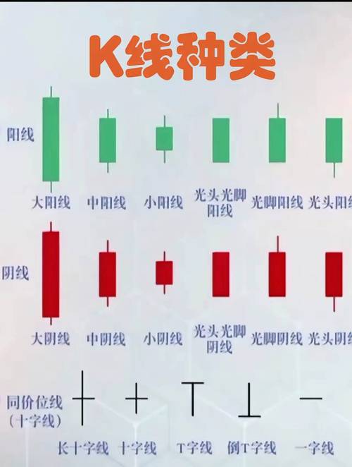 ��������������Ʊ�ع�����