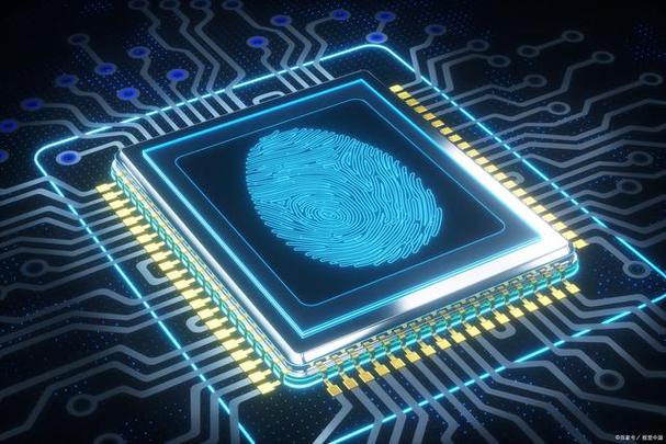 ������׿��������������